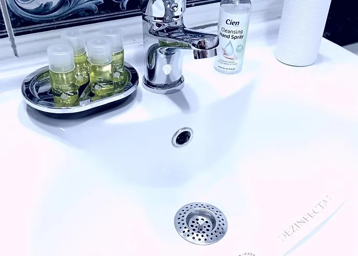 公寓 Perla Premium 蒂米什瓦拉